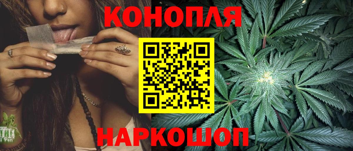 Бошки марихуана сатива Кизилюрт